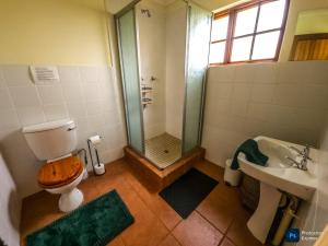 a bathroom with a shower and a toilet and a sink at The GingerPig Inn in Die Ark +14 photos