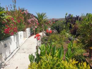 a garden with flowers and plants on a sidewalk at Kamer Appartement in Arico in La Sabinita