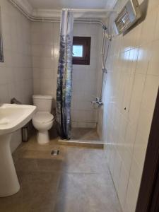 a bathroom with a shower and a toilet and a sink at Lidden tree cottage in Perea