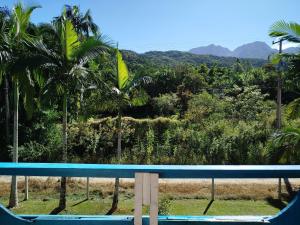 a view of a pool with palm trees and mountains at Refúgio dos Valdenses in Morretes