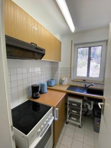 a small kitchen with a stove and a sink at Am Wald, Am Berg in Unterreichenbach
