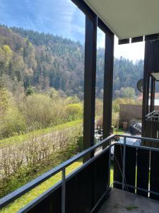 a view of a vineyard from the balcony of a house at Am Wald, Am Berg in Unterreichenbach