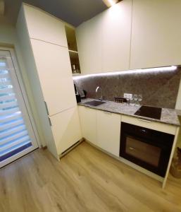 a small kitchen with a sink and a dishwasher at Ežiukų rojus in Neringa