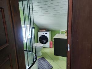 a small bathroom with a washing machine and a toilet at Comfort Akacija Apartments in Vilnius +4 photos