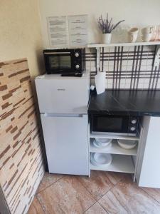 a kitchen with a white refrigerator and a microwave at Comfort Akacija Apartments in Vilnius