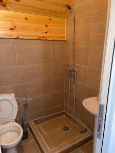 ein Badezimmer mit Dusche, Toilette und Waschbecken in der Unterkunft Vikendice Ivanović in Prisoja