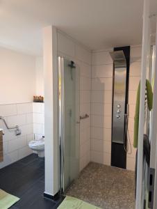 a bathroom with a shower and a toilet at Ferienwohnung 's Stüble in Schönwald +21 photos