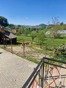 a horse grazing in a field with a fence at Mirna zelena dolina in Šentilj