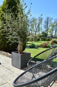 a metal bench next to a tree in a park at Landhaus Riedl in Bad Füssing