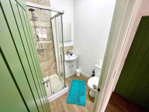 a bathroom with a glass shower and a toilet at The Limes! Flat 3 Private Studio Apartment in Quinton
