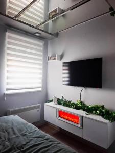 a room with a tv on a wall with plants at Apartman JakšićS&M in Šid