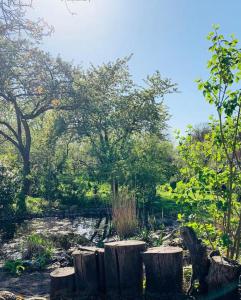 a garden with trees and rocks and logs at Sonnenhügel in Neu Karin +55 photos