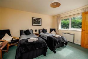 a bedroom with two beds and a window at Bluebell Cottage in Tarbert