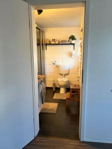 a bathroom with a toilet and a sink at Ferienhaus Luunsche Landpause in Lunow +15 photos
