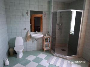 a bathroom with a shower and a toilet and a sink at Kaare Guesthouse in Viljandi +44 photos