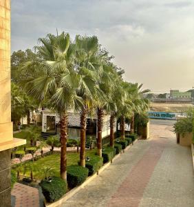 a row of palm trees next to a walkway at Hotel Asha in Kannauj