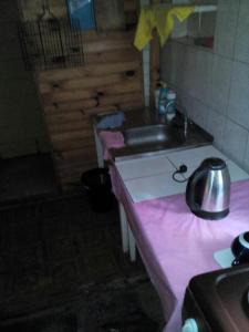 a kitchen with a sink and a purple counter top at Ksenia pansionat in Skhidnitsa +87 photos