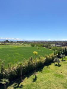 a green field with palm trees in a field at Villa Dream el filali in Sraghna