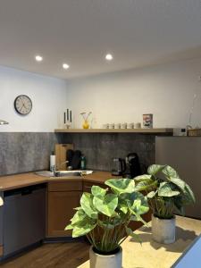 a kitchen with two potted plants and a clock on the wall at 100qm Apartment mit Regendusche & Top-Lage in Mücheln
