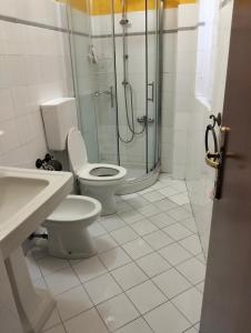 a bathroom with a shower and a toilet and a sink at Appartamento il Giglio in Montale