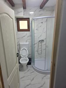 a bathroom with a toilet and a walk in shower at Casa Tudor - Râul Mare Retezat in Clopotiva