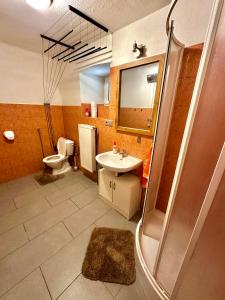 a bathroom with a sink and a shower and a toilet at Apartmán Dolní Němčice in Dačice
