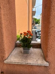 a vase with orange flowers sitting on a window sill at Dimora Stadio Biella in Biella