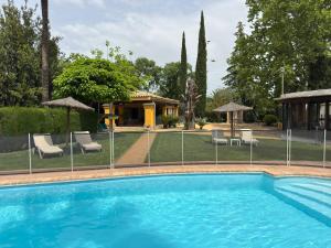 a large swimming pool with chairs and umbrellas at La Casa de los Limones in Montilla