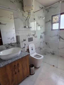 a bathroom with a sink and a toilet at Rahini sunset villa in Shimla