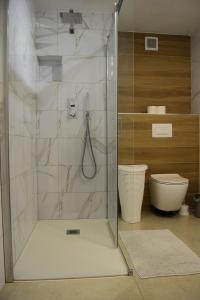 a bathroom with a glass shower with a toilet at Apartma Šmarnica in Slap ob Idrijci