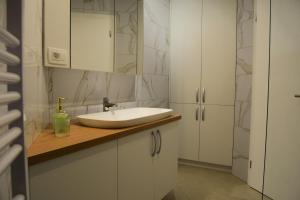 a bathroom with a sink and a mirror at Apartma Šmarnica in Slap ob Idrijci