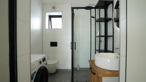 a bathroom with a sink and a toilet and a mirror at Bárucottage in Eyrarbakki