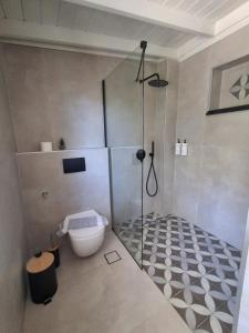 a bathroom with a shower and a toilet at Blue Horizon Rock-Sea View Apartment in Nidri in Nydri +13 photos