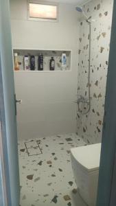 a bathroom with a shower and a toilet in it at Z House Jbeil in Jbeil