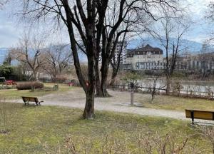 a park with two benches and a tree at Quartier am Fluss - CityNest in Innsbruck