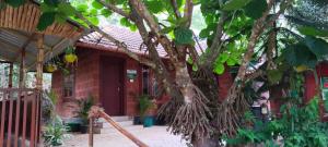 a house with a tree in front of it at Adhivilla resort in Thirunelli