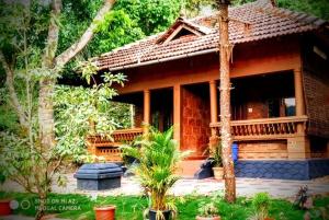 a small house in the middle of a garden at Adhivilla resort in Thirunelli