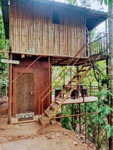 a tree house with a staircase leading up to it at Adhivilla resort in Thirunelli +4 photos