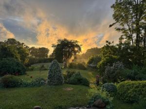 a garden with a christmas tree in the yard at Ferienhaus mit Naturblick in Putbus