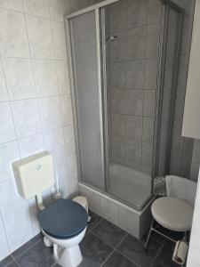 a bathroom with a toilet and a shower at Ferienhaus mit Naturblick in Putbus +32 photos