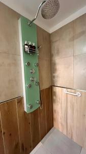 a shower in a bathroom with a green wall at Casa Choique in Villa El Chocón