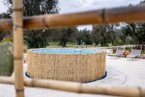 a swimming pool with two chairs at Trullo MaPì in San Michele Salentino