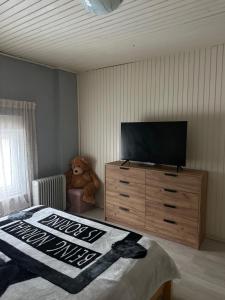 a bedroom with a tv on a dresser and a teddy bear at Forest Escape House in Begovo Razdolje