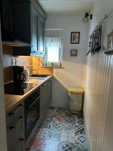 a kitchen with a sink and a toilet in it at Forest Escape House in Begovo Razdolje +11 photos