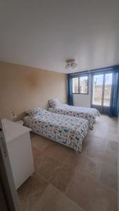 a bedroom with two beds and two windows at Le logis troglodyte in Loches