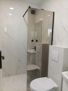 a white bathroom with a toilet and a shower at Komfortowe Apartamenty i Pokoje Powidz in Powidz