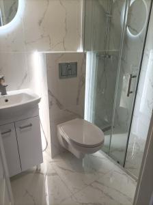 a bathroom with a shower and a toilet and a sink at Komfortowe Apartamenty i Pokoje Powidz in Powidz