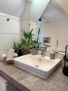 a bathroom with a white sink and a mirror at Wohnung Dorfblick in Hauenstein +29 photos