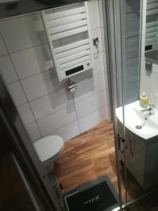 a small bathroom with a toilet and a sink at Chatka Czesia in Sosnówka +3 photos