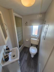 a small bathroom with a toilet and a sink at Jams Caravan in Skegness +14 photos